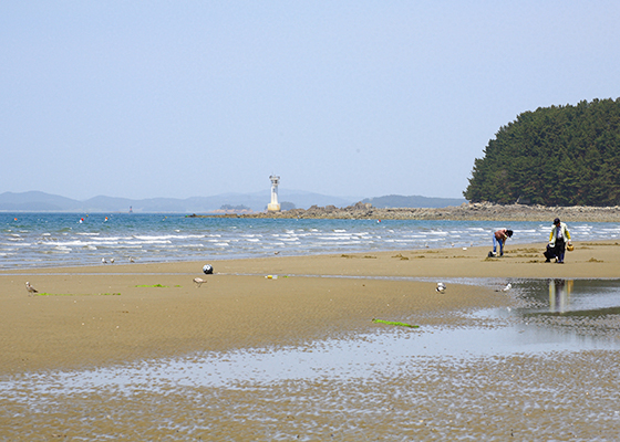 마검포해수욕장,마검포항